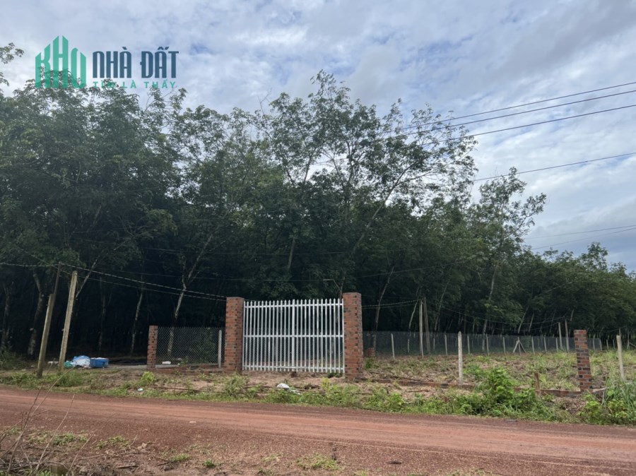Tấn có lô đất giới thiệu đến anh chị, DT 1167m2 và có 200m2 thổ cư, rất thích hợp đầu tư.