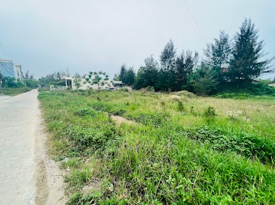 Bán ô đất diện tích 275,98m2 tại khu 2 thị trấn cô tô tỉnh quảng ninh