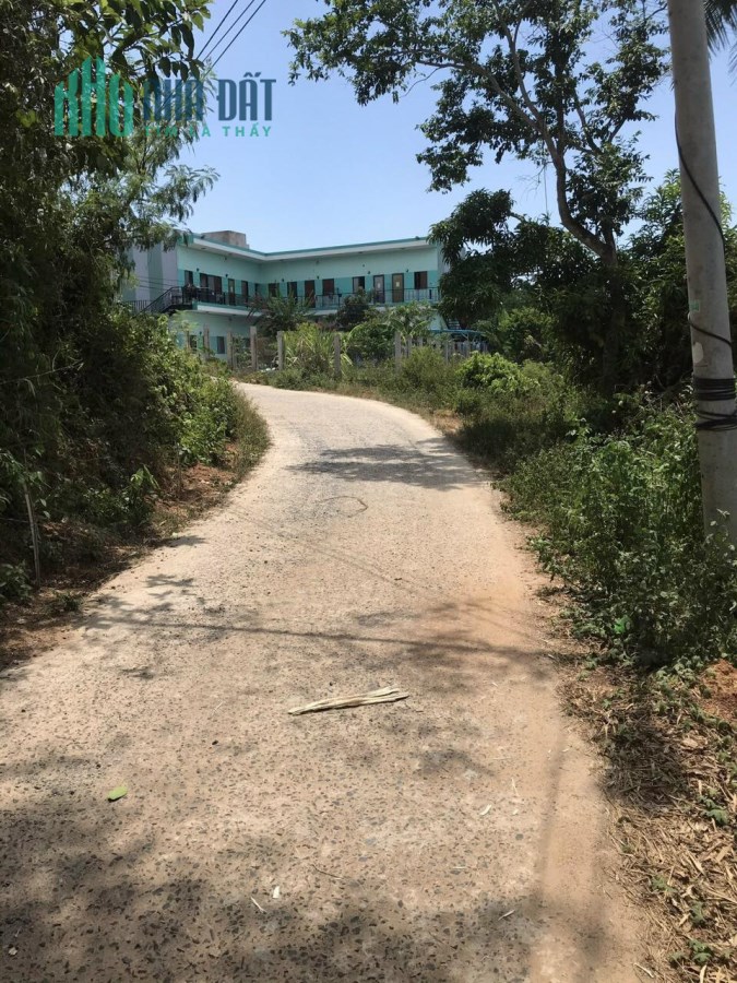Cần tiền chuyển nhượng gấp Lô đất 207m2 Thôn Cẩm Toại, Hoà Phong, Hoà Vang