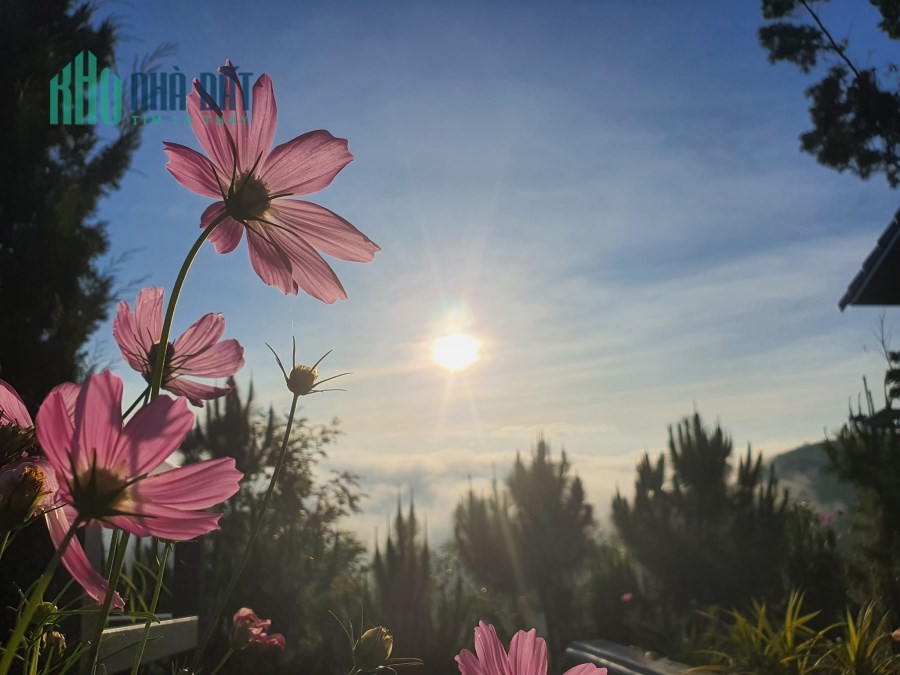 Cần bán đất nghỉ dưỡng view sông cực đẹp tại Tân Nghĩa - Di Linh - Lâm Đồng