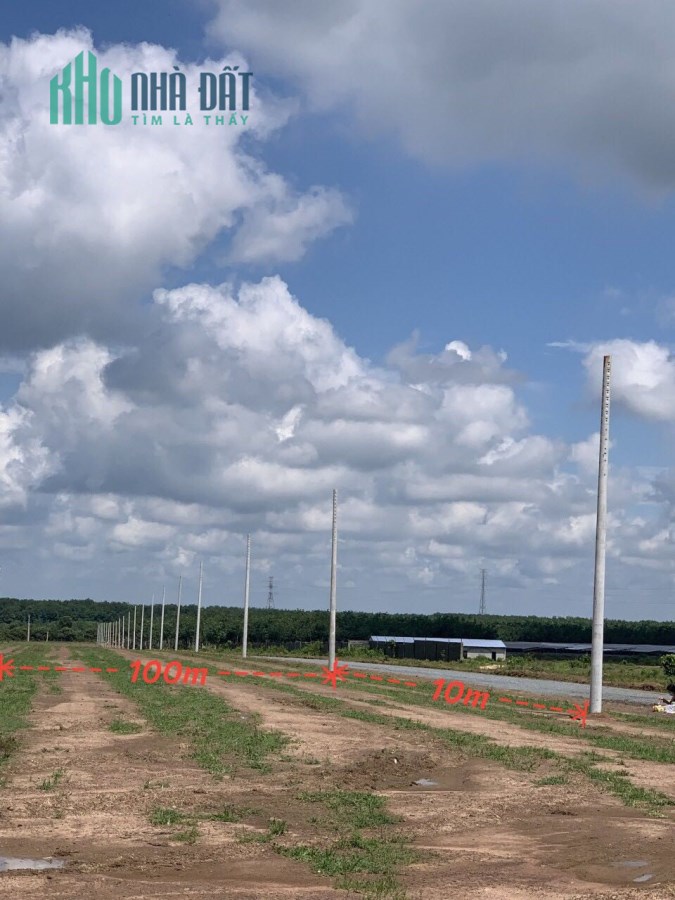 Cần ra đi lô đất diện tích hơn 1000m2 anh em mua xây xưởng với xây phòng trọ quá lợi ạ 
