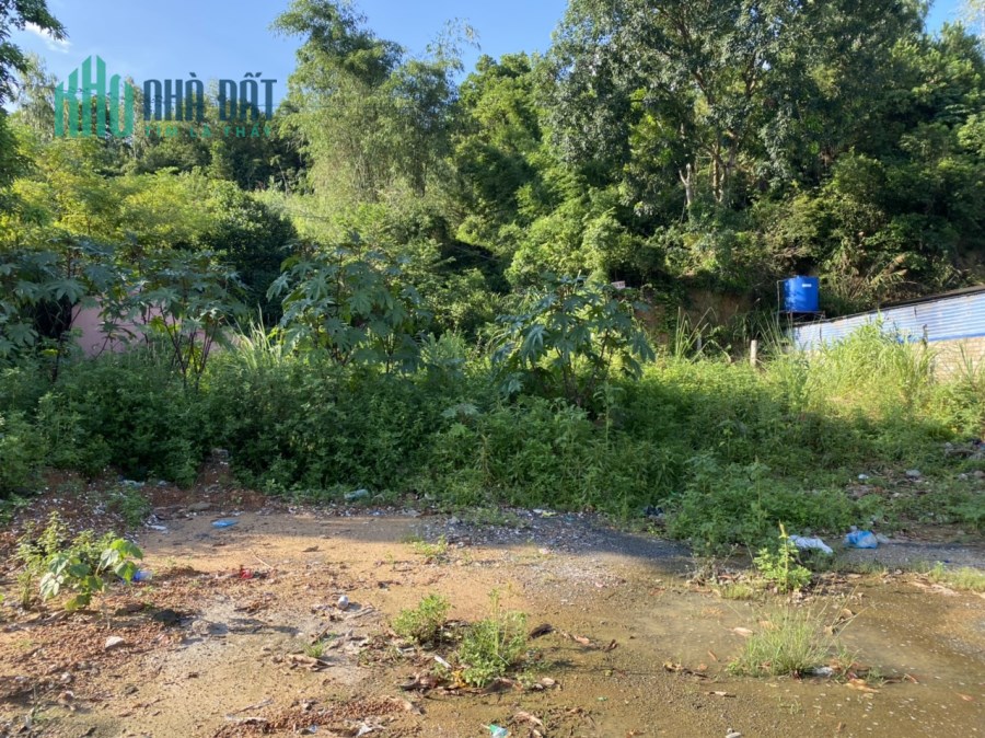 Bán đất mặt đường lớn, thuận tiện kinh doanh, tiềm năng tăng giá tốt