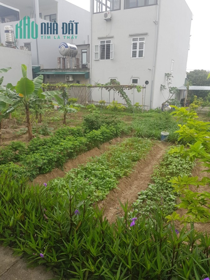Cần bán mảnh đất nhỏ gần KĐT Phương Đông - khu đô thị sáng giá của Vân Đồn