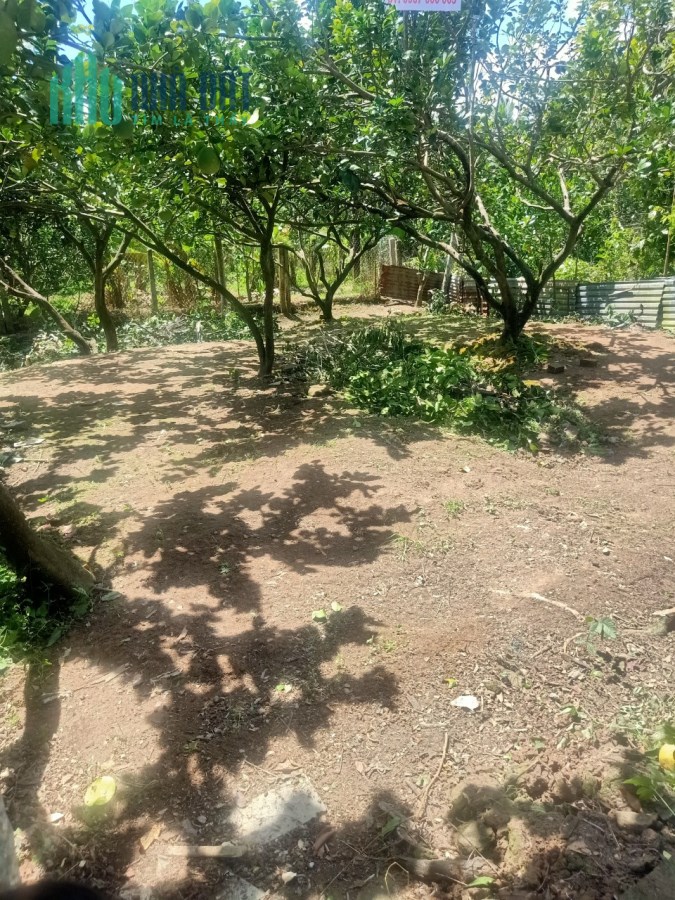 Bán 122m2 đất MT đường nông thôn xã Tiên Long Bến Tre. 450tr. Lh:0971051595.
