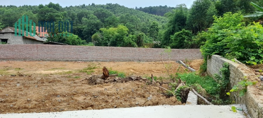 Yên Sơn ,Lục Nam ,Bắc Giang :Diện tích 302m2,mặt tiền 15m .Giá chỉ có 5tr/m2