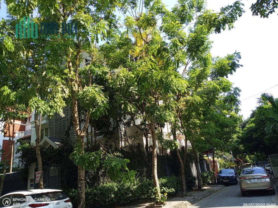 Bán Biệt Thự NGUYỄN TUÂN View vườn hồng 75m2 x 5T thang máy, Giá 21.3 Tỷ.