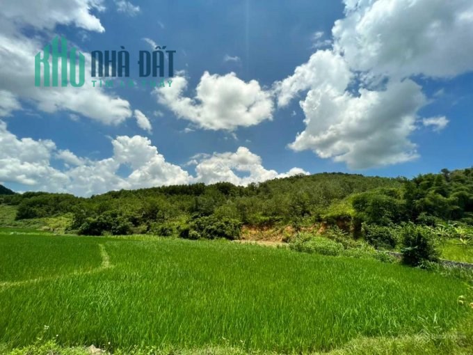 Bán đất nghỉ dưỡng khu trải nghiệm du lịch sinh thái bám suối tại Kim Bôi, Hòa Bình