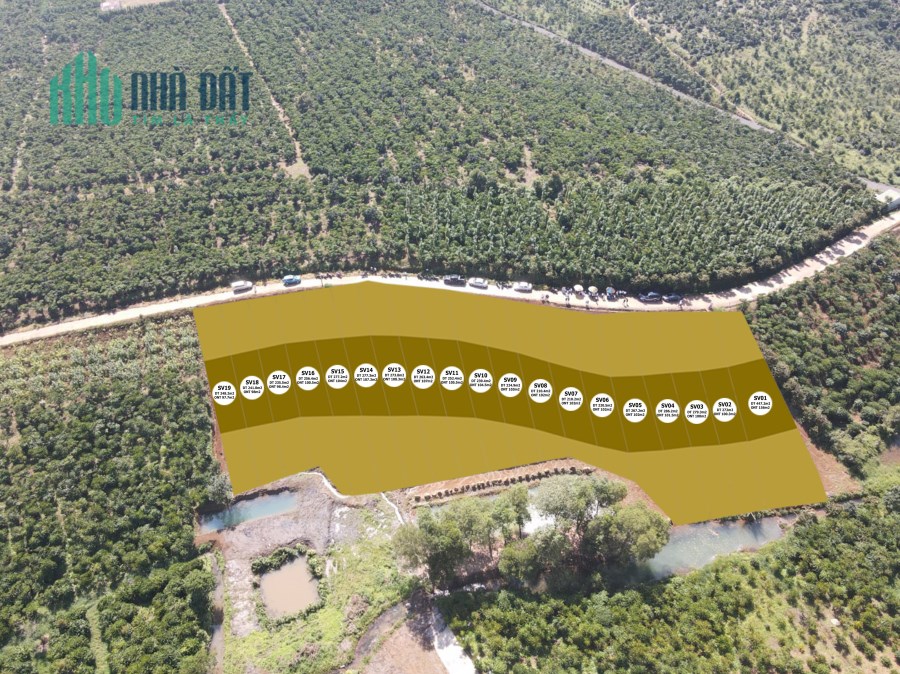 Bán Đất Biệt Thự Sành Villa Bảo Lộc,vị trí đắc địa sổ riêng từng lô