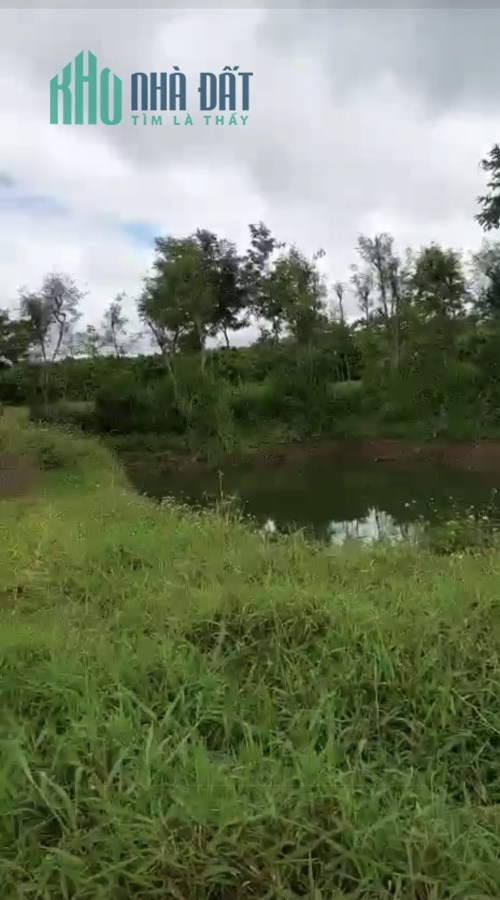 Chính chủ bán 9.8ha 2mặt tiền đường nhà nước-Ea Drong-thị xã Buôn Hồ-Đak Lak