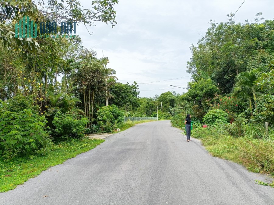 Xinh chào AC. Tấn có lô đất giới thiệu đến AC, có tổng diện tích trên 500m2 và đường nhựa rộng 8m.