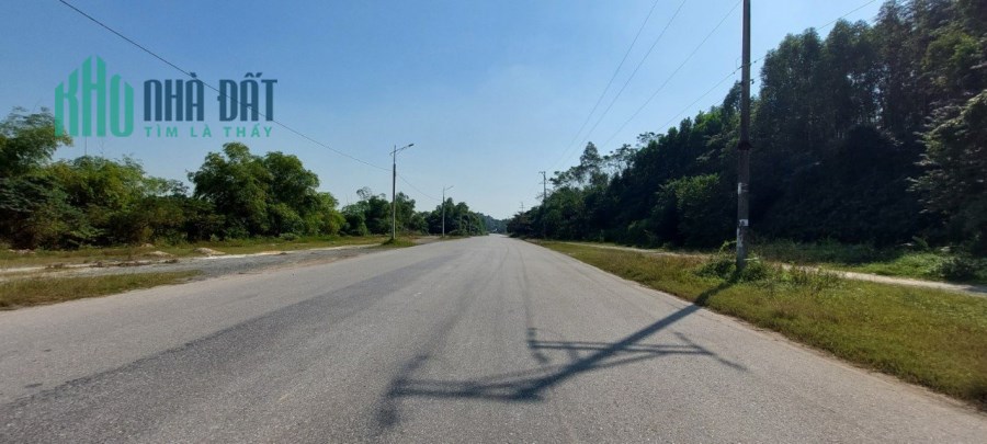 Gấp! Gấp! Gấp! Bán nhanh 5000m2 đất mặt đường tại Thành phố Việt Trì, ngay sát FLC Phú Thọ