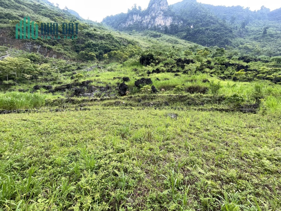 Mảnh đất diện tích rộng tại Quản Bạ thích hợp khai thác du lịch Hà Giang.
