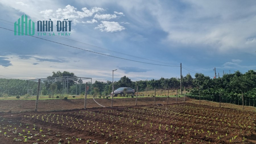 Chỉ 945tr sở hữu ngay lô đất 200m2 tại Lộc An , BẢo Lộc
