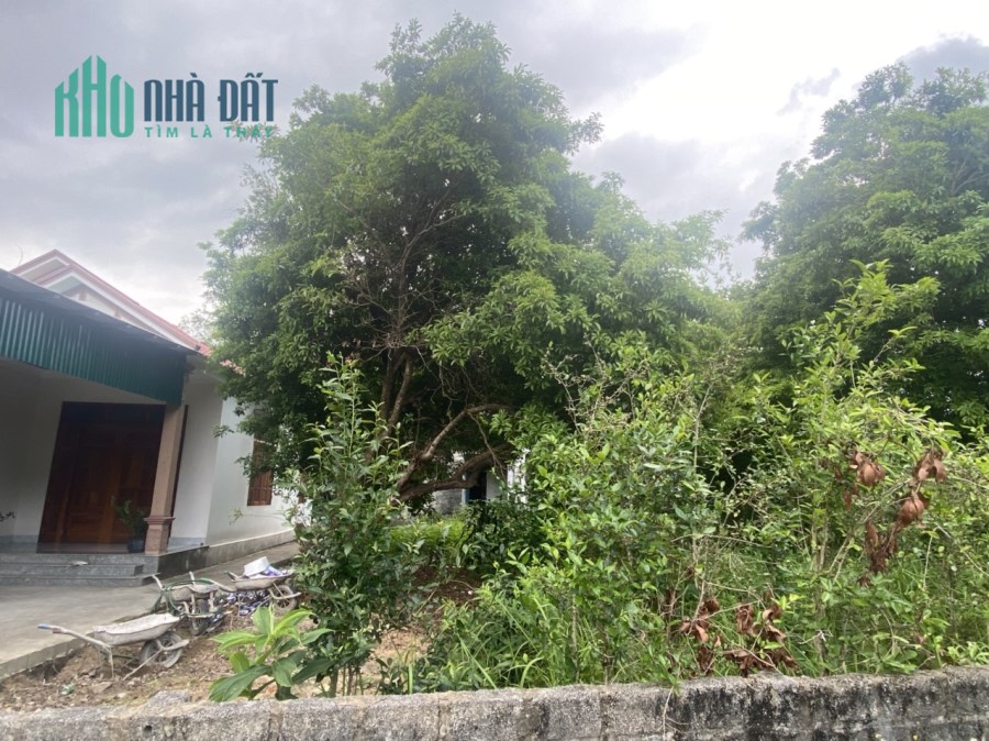Cắt lỗ mảnh đất tại khu tái định cư Hạ Long nằm gần khu trung tâm kinh tế của Vân Đồn
