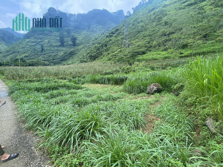 Mảnh đất tại Hà Giang thích hợp kinh doanh mô hình homestay đón khách du lịch quốc tế