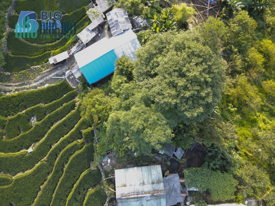 "Bán nhanh mảnh đất gần 200m2 tại Ngải Trồ, Y Tý - nơi tập trung nhiều khu công viên đẹp "