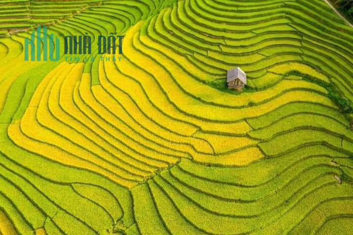 CHỈ VỚI 5TR/M2 SỞ HỮU MẢNH ĐẤT TẠI TRUNG TÂM Y TÝ ( SAPA2), DTDT500m2, MT 25m.