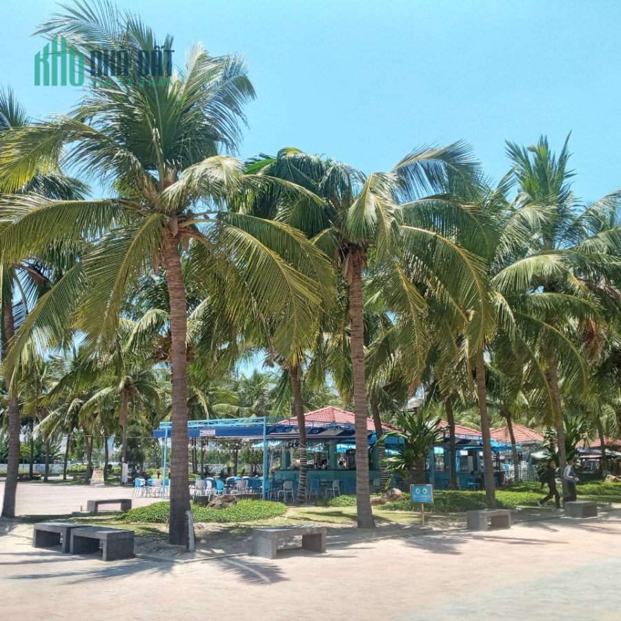 Sơn Trà - Bán nhà Hoàng Sa, 62m2, chỉ 2 tỷ 9 Lý Uy Tín – 0396.232.575