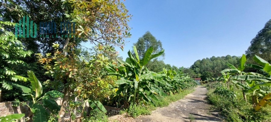 "Nhà xưởng cho thuê tại phường Vân Phú, diện tích 350m2, ,gần FLC Resort  "