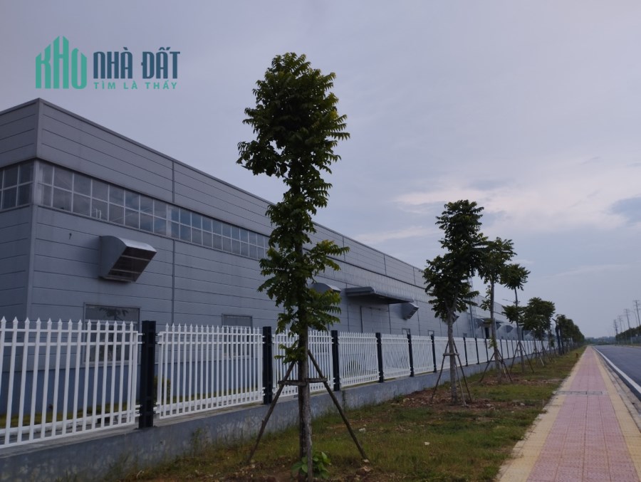 Cho thuê kho xưởng 2.000m2, 3.000m3, 6.000m2 đến 20.000m2 thép zamil tại Vân Trung, Quế Võ, giá rẻ.