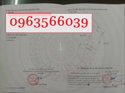 Chính chủ bán đất đầu tư sinh lời thời điểm vàng của BĐS An Dương duy nhất - Hải Phòng - 0963566039