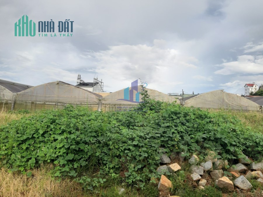 🌿🌿 𝐁𝐚́𝐧 đ𝐚̂́𝐭 đ𝐮̛𝐨̛̀𝐧𝐠 𝐓𝐫𝐚̣𝐧𝐠 𝐓𝐫𝐢̀𝐧𝐡 - 𝐏𝐡𝐮̛𝐨̛̀𝐧𝐠 𝟗 - Đ𝐚̀ 𝐋𝐚̣𝐭 🌿🌿
