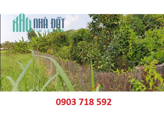 Chính chủ bán đất sát đường Trần Văn Hý,  P.Bình Tâm, TP.Tân An, Long An; 13tr/m2; 0903718592