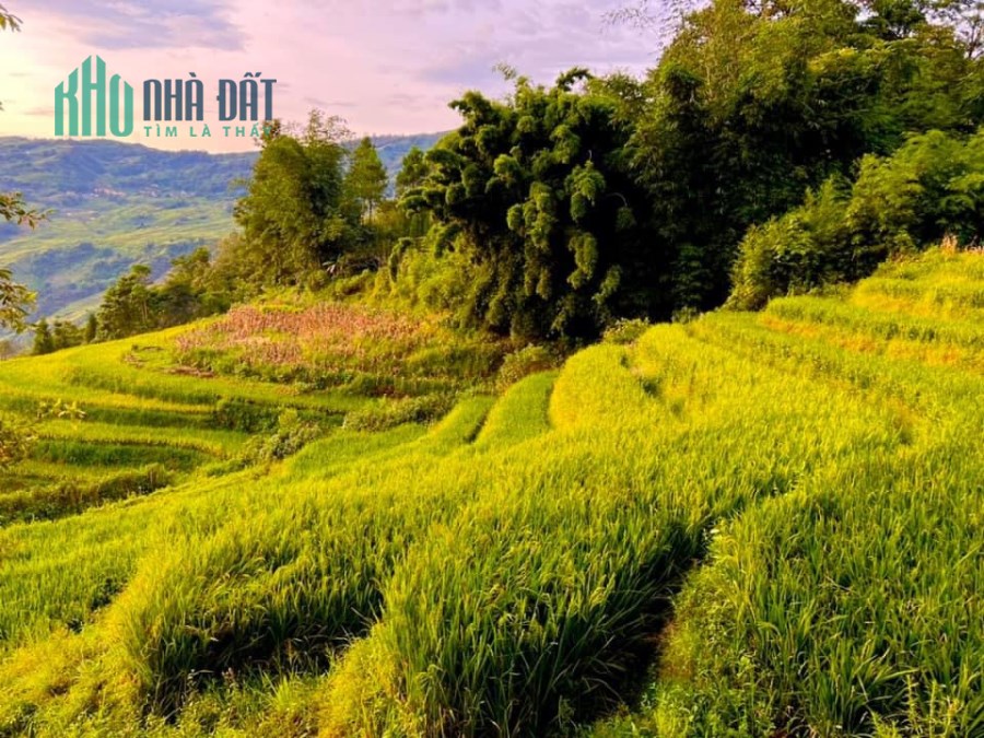 Đất Nền Y Tý (SAPA2) Đón Sóng Sân Bay, View Thung Lũng Săn Mây, Khai Thác Du Lịch 4 Mùa