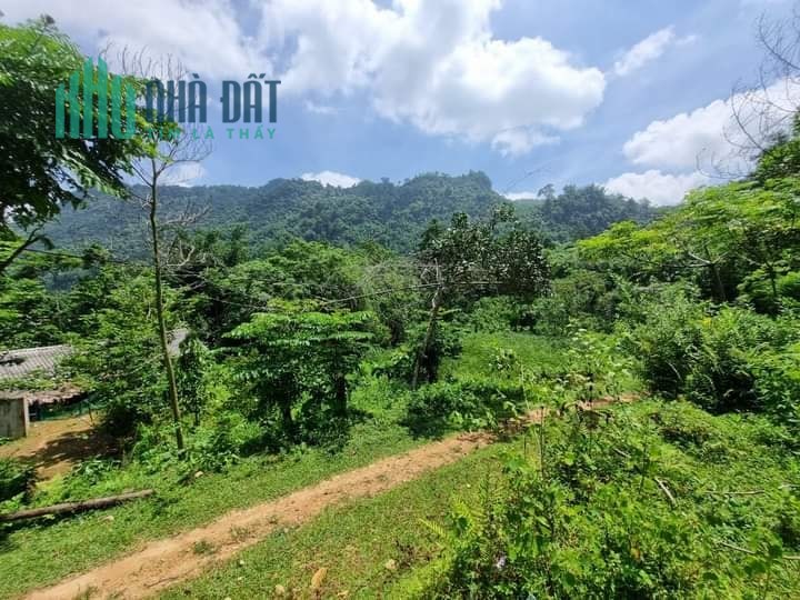 Rẻ nhất quả đất, 3000m2, 400m2 đất ở, 800 triệu, gần thị trấn Yên Lập, Phú Thọ, view đẹp tuyệt đỉnh