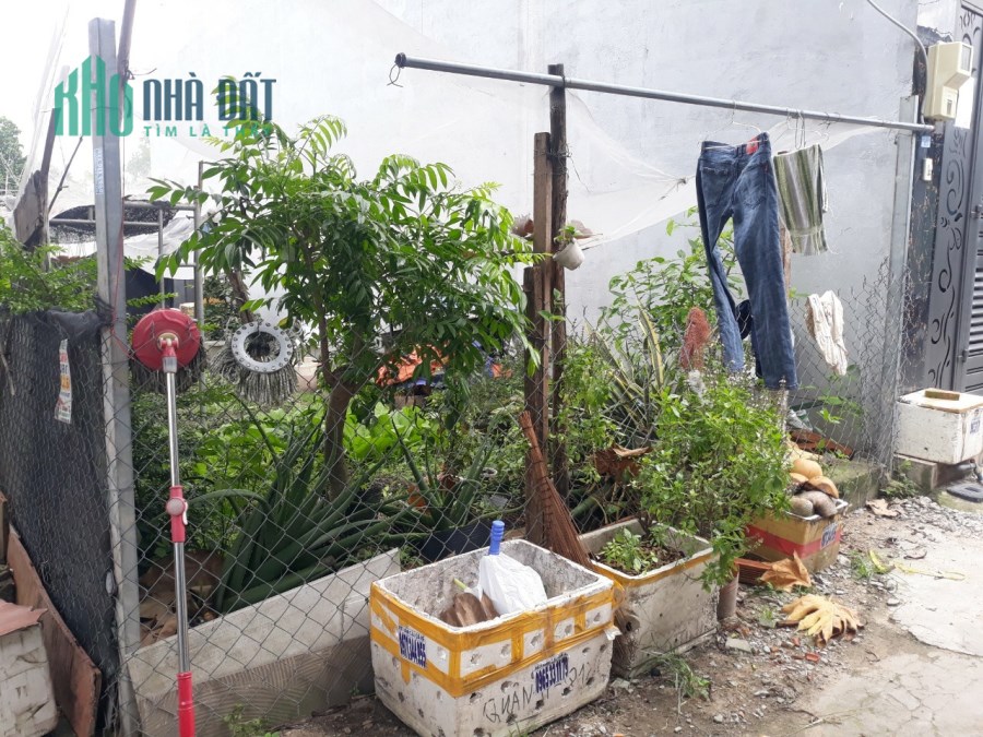 Chính chủ cần tiền bán lô đất Thổ cư Phường Hiệp Thành, Q.12, HCM