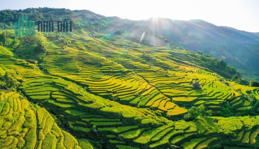 Đất Nền Y Tý (SAPA2) Đón Sóng Cao Tốc, View Săn Mây Giá Rẻ