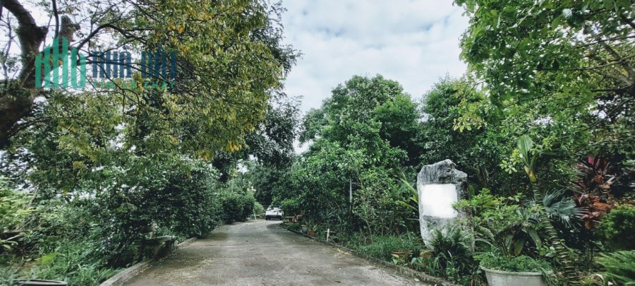 Chỉ còn duy nhất 1 căn biệt thự trang trại rộng hơn 3000m2 tại Phú Thọ,pháp lý rõ ràng