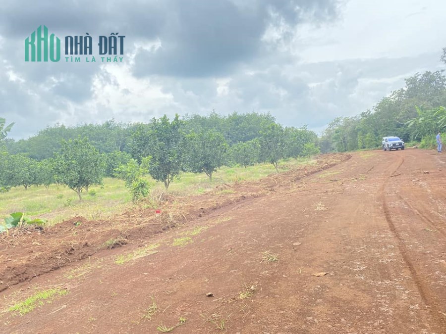 Cần bán gấp lô Đất 1000m2 có sẵn vườn trái cây, giá 430tr.