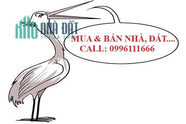 Bán đất mặt phố Xuân Thủy, 59m2- mặt tiền 5.7m, giá 25.5 tỷ