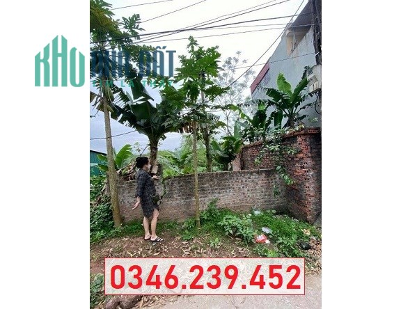 Chính chủ bán đất vị trí đẹp tại thôn Phượng Đồng, xã Phụng Châu, Chương Mỹ, 1,186tỷ; 0346239452