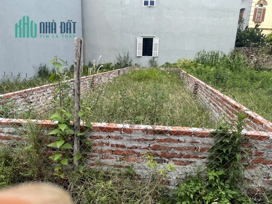 Bán 48.8m đất thôn Xuân Nộn xã Xuân Nộn đường 4.5m ngõ thông