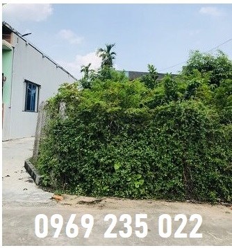 Chính chủ bán đất khu 7 thị trấn Yên Định, Hải Hậu, Nam Định; 1,5 tỷ; 0969235022
