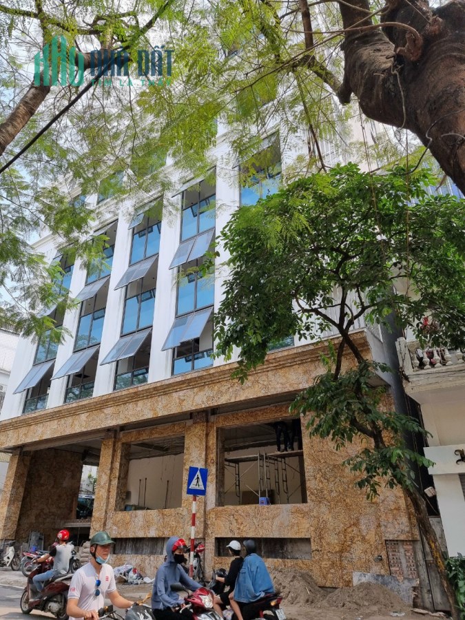 Bán tòa nhà 9 tầng lô góc MP Hàng Chuối - Hai Bà Trưng - DT 235m2, MT 11m. Giá bán 205 tỷ