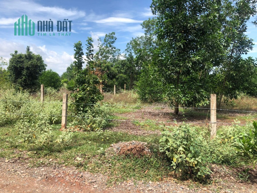 Bán đất sào gần Sân bay Phan Thiết Bình Thuận giá rẻ phù hợp để đầu tư 