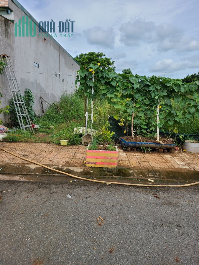 Đất thổ cư mặt tiền đường nhựa.Giá đầu tư 8tr/m2