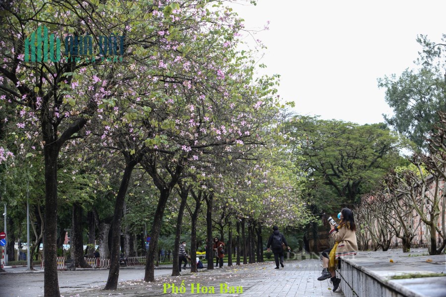 DỰ ÁN GREEN PARK  - VÀ NHỮNG  BÍ MẬT ĐỘNG TRỜI MÀ CÁC CHỦ ĐẦU TƯ KHÔNG MUỐN CHO BẠN BIẾT !?