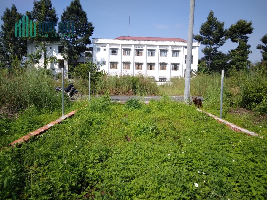 Gía chính chủ.Đất thổ cư ngay kcn Dầu Giây(DT769)
