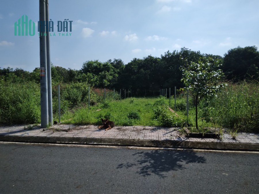 BÁN 142M2 ĐẤT Ở, MẶT TIỀN TRƯỜNG HỌC, DỄ KINH DOANH, XÃ LỘ 25, ĐƯỜNG TỈNH LỘ 769