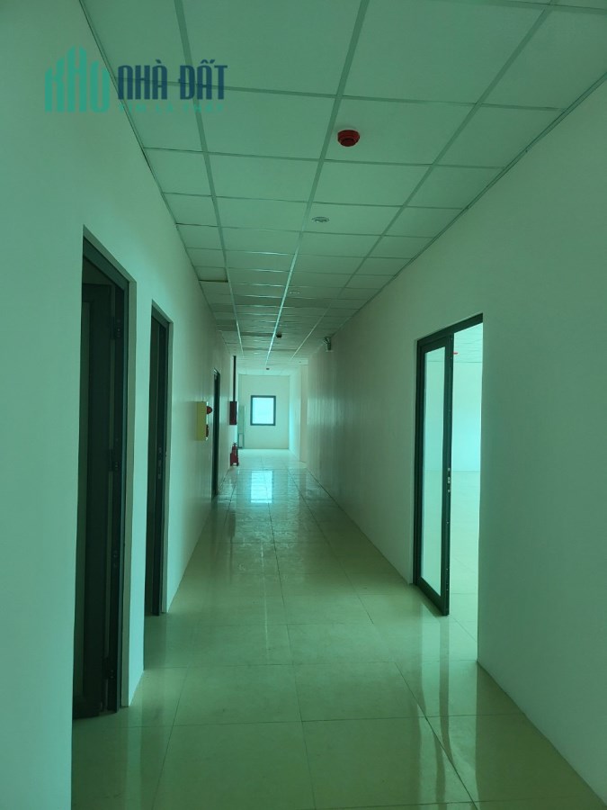 Cho thuê nhà xưởng kcn quế võ dt 6000m2 phòng sạch làm chế xuất