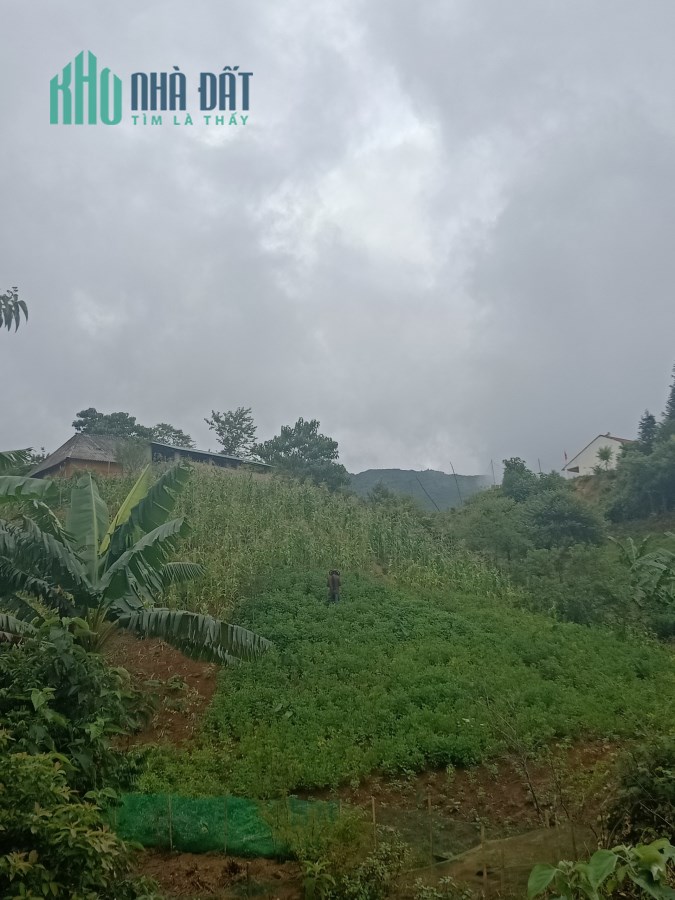 Cc cần bán mảnh đất 1163m2 tại y tý sapa 2, đón đầu các chủ đầu tư lớn