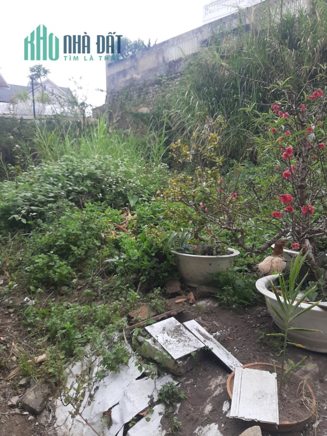 Cần bán gấp đất XD giá rẻ đường Nguyễn Du, Đà Lạt giá chỉ 2.3 tỷ