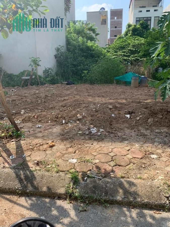 Bán đất dịch vụ Dương Nội, Hà Đông, 50m2, mt5m, Đông Nam, 5.1 tỷ