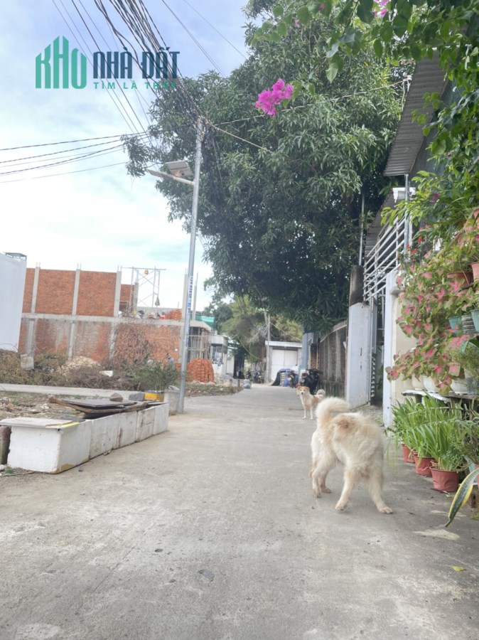 Cần bán đất thổ cư Phú Thạnh, Vĩnh Thạnh, Nha Trang gần Bệnh viện Giao thông vận tải chỉ từ 1 tỷ