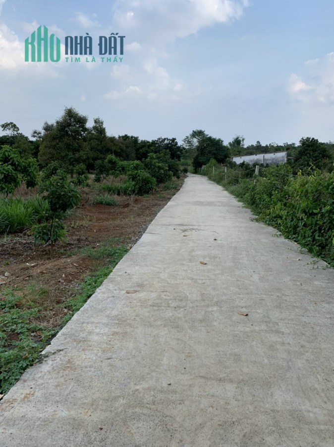 Chính Chủ Cần bán 4 lô đất tại : Xã Sông Ray, H. Cẩm Mỹ. Đồng nai