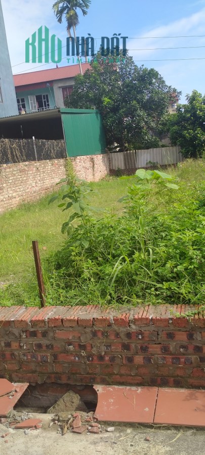 Chủ bán 95m² đất Lương Quy, Đông Anh, ôtô, thông, nhỉnh 3 tỷ